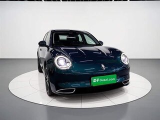 2023 Ora Good Cat 47.8 kWh I, зелёный, 1550000 рублей, вид 2