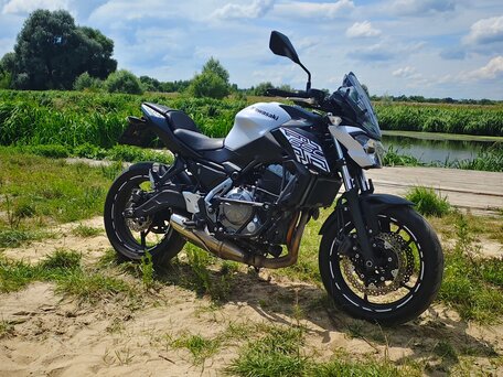 2019 Kawasaki Z 650, белый, 650000 рублей, вид 1