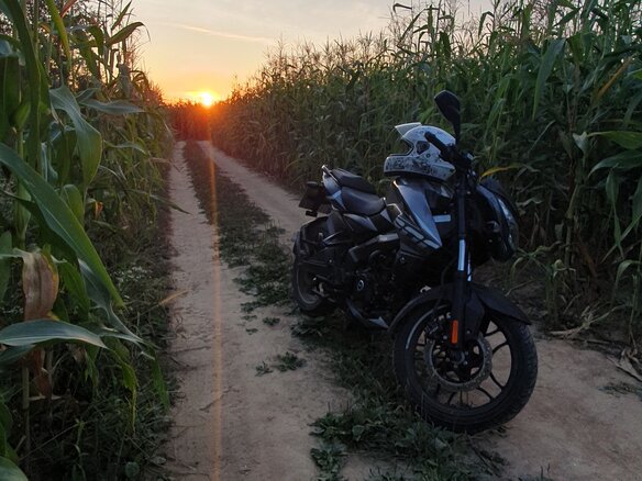 2022 Bajaj Pulsar NS 200, серый, 260000 рублей
