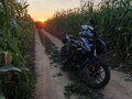 2022 Bajaj Pulsar NS 200, серый, 260000 рублей