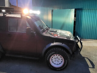 2002 Lada (ВАЗ) 2121 (4x4) I Рестайлинг, пурпурный, 300000 рублей, вид 5