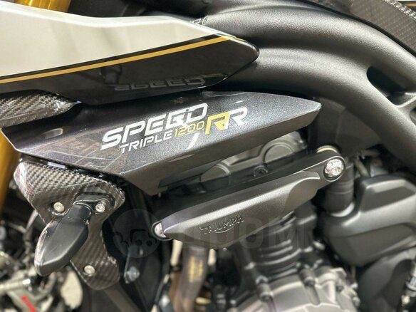 2022 Triumph Speed Triple, белый, 1550000 рублей - вид 16