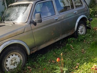 2001 Lada (ВАЗ) 2131 (4x4) I, серебристый, 130000 рублей, вид 3