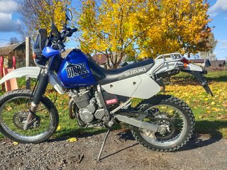 2001 Suzuki Djebel 250, синий, 370000 рублей, вид 2