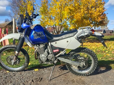 2001 Suzuki Djebel 250, синий, 370000 рублей, вид 2