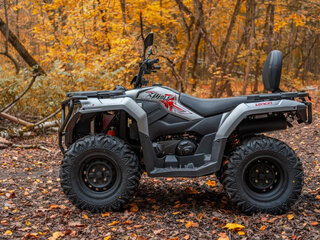 2026 Loncin XWolf 300, серый, 485000 рублей, вид 3