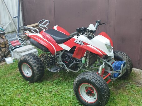 2014 Irbis ATV 250S, красный, 150000 рублей, вид 1