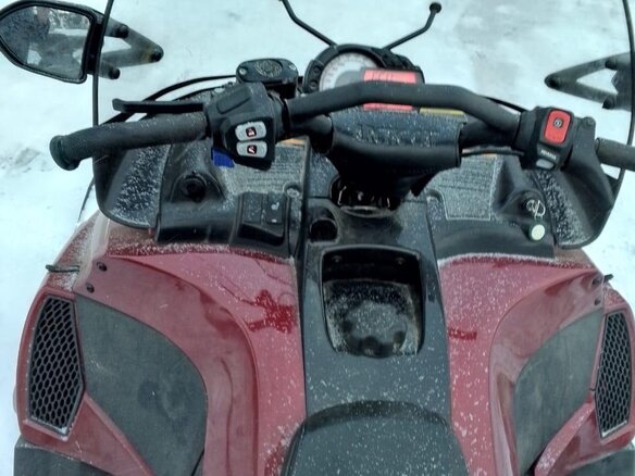 2011 Arctic Cat Bearcat, красный, 1500000 рублей - вид 7