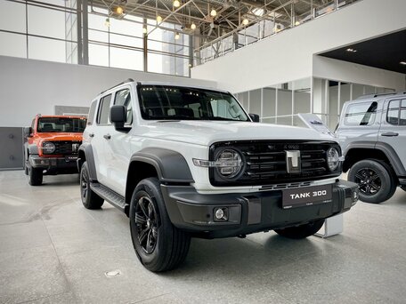 Tank 300 I