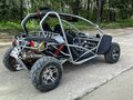 2010 PGO Bugxter, белый, 275000 рублей - вид 2