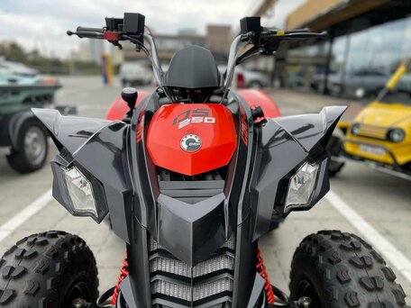 2022 BRP Can-Am DS 250, красный, 331900 рублей, вид 4