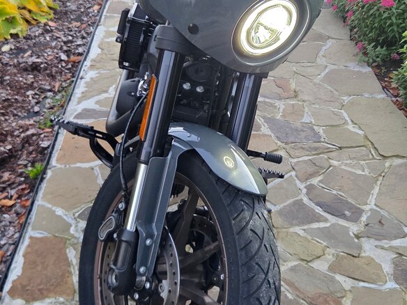 2022 Harley-Davidson Low Rider, серый, 2000000 рублей - вид 18