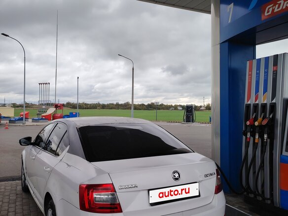 2015 Skoda Octavia III (A7), белый, 399999 рублей - вид 3