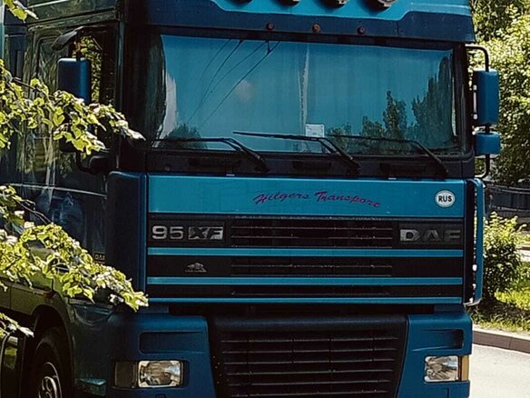 2002 DAF 95XF, синий, 2870000 рублей - вид 6