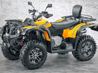 2026 Stels ATV-600YL Леопард, жёлтый, 546500 рублей, вид 1