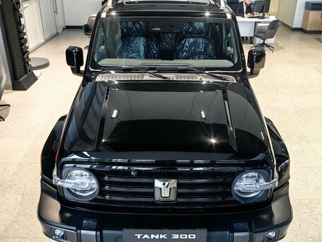 Tank 300 I