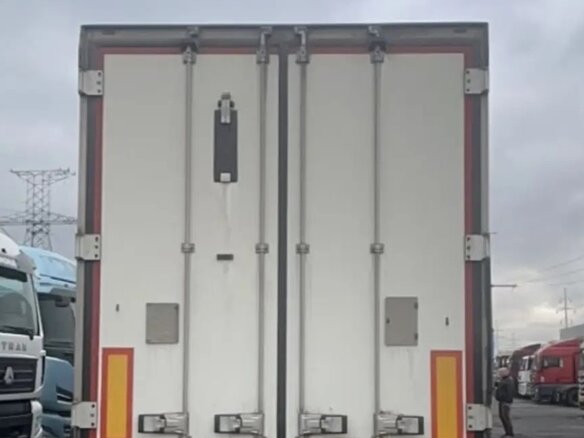 2019 Schmitz Cargobull SKO, белый, 5270000 рублей - вид 3