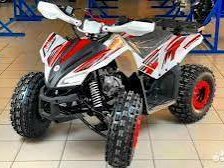 2024 Sharmax Powermax, белый, 95000 рублей, вид 2