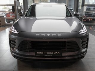 2026 Esteo MX, серый, 3990000 рублей, вид 4