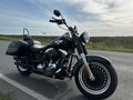 2010 Harley-Davidson Fat Boy, чёрный, 999000 рублей - вид 9
