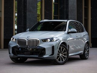 2025 BMW X5 40i IV (G05/G18) Рестайлинг, серый, 10950000 рублей, вид 1