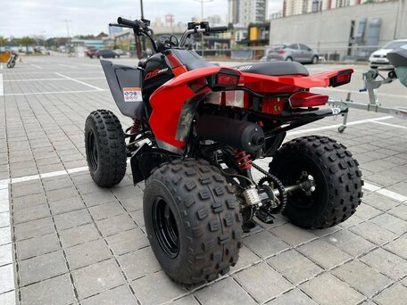 2022 BRP Can-Am DS 250, красный, 331900 рублей, вид 2