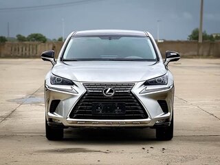 2020 Lexus NX 200 I Рестайлинг, серый, 2550000 рублей, вид 2