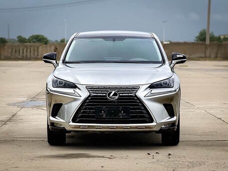 2020 Lexus NX 200 I Рестайлинг, серый, 2550000 рублей, вид 2