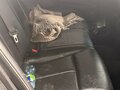 2006 Infiniti M45 III, серый, 950000 рублей - вид 5