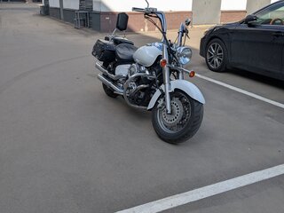 2001 Yamaha XVS1100, белый, 565000 рублей, вид 1