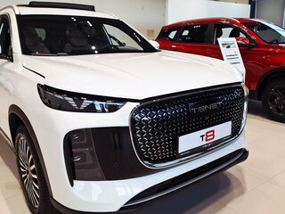 2026 Tenet T8, белый, 3885000 рублей, вид 5