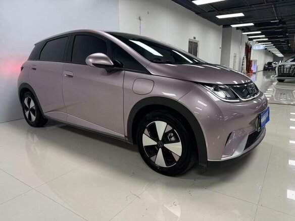 2026 BYD Dolphin, розовый - вид 1