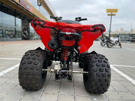 2022 BRP Can-Am DS 250, красный, 331900 рублей, вид 5
