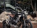 2025 Kove 500F Wild, зелёный, 705000 рублей - вид 10
