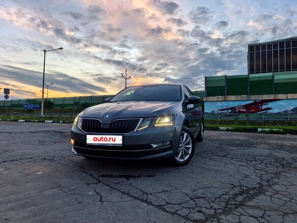 2019 Skoda Octavia III (A7) Рестайлинг, серый - вид 2