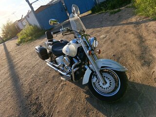 2002 Yamaha XVS1100, белый, 520000 рублей, вид 2
