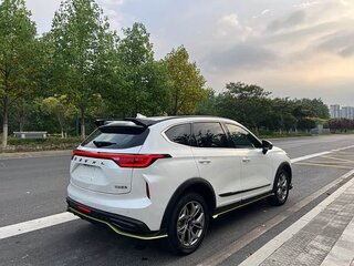 2022 Haval Chitu, белый, 1110000 рублей, вид 4
