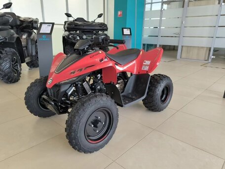 2025 CFMoto CFORCE 110, красный, 269910 рублей, вид 1