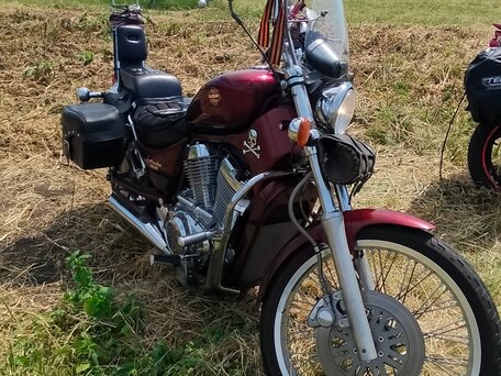 1995 Suzuki Intruder VS800, коричневый, 580000 рублей, вид 2