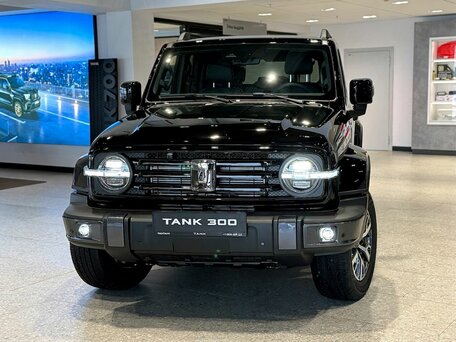 Tank 300 I