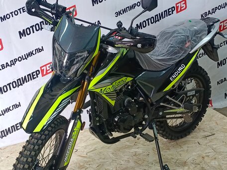 2026 Motoland Enduro 300, чёрный, 169500 рублей, вид 2