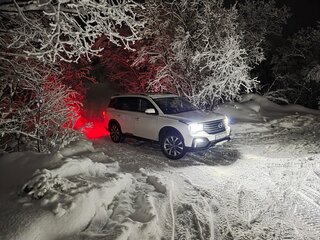 2021 GAC GS8 I, белый, 3050000 рублей, вид 1