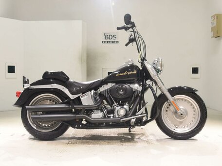 2007 Harley-Davidson Fat Boy, чёрный, 977000 рублей, вид 2