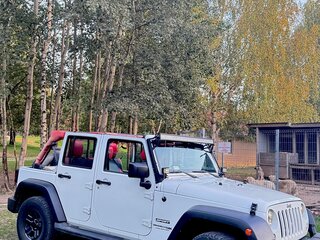 2018 Jeep Wrangler III (JK), белый, 3400000 рублей, вид 3