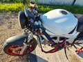 2002 Suzuki SV 650, белый, 270000 рублей - вид 8