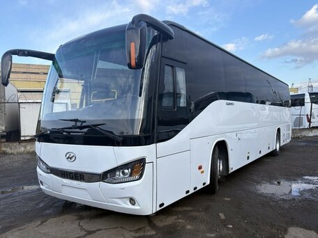 2024 Higer KLQ 6119, белый, 13400000 рублей, вид 2