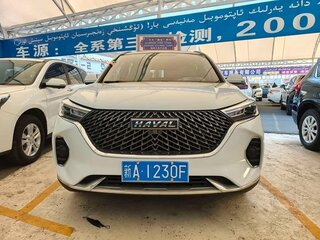 2022 Haval M6 Plus II, белый, 1187111 рублей, вид 2