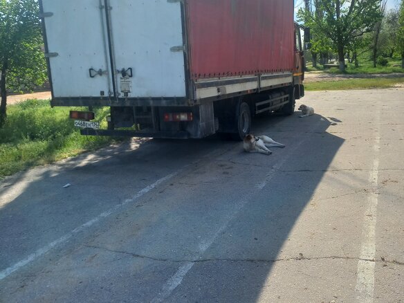 2012 МАЗ 3650, красный, 1100000 рублей - вид 12