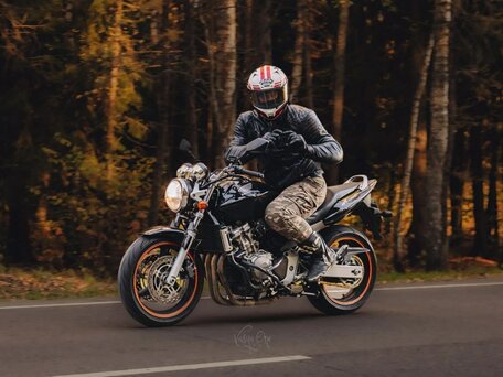 2004 Honda CB 600F Hornet, чёрный, 320000 рублей, вид 3