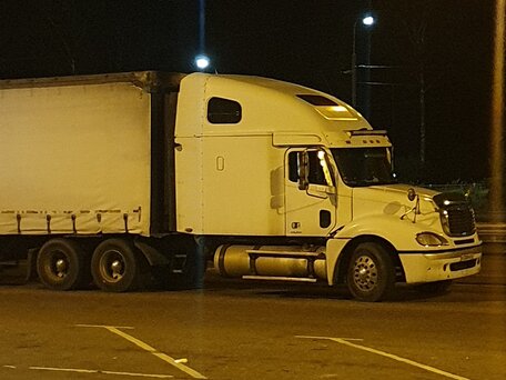 2003 Freightliner Columbia, белый, 2500000 рублей, вид 2